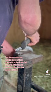 212K views · 7.6K reactions | Here’s a Phoenix update! | Gentle Giants Draft Horse Rescue | Facebook