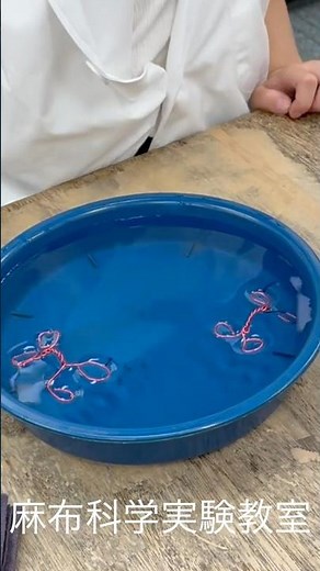 Homemade Whirligig Beetle: 1st Grade: Science Experiment [Azabu Science Experiment Classroom] #sh...