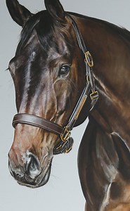 132K views · 7.9K reactions | I absolutely adored this painting of Dia. It was a painting that flowed from beginning to end and just appeared on the board so naturally. Thank you once again to the incredible Sadie Smith Dressage  - Joss Ridley #classicdressage #dressageuk #dressagehorse | Caren's Artworks | Facebook