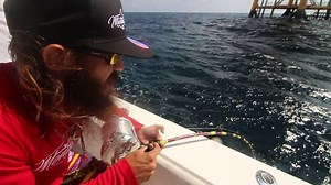 Combine prayer, proper planning, and due diligence when you make your fishing trips, and watch the fish you dream of catching FAR EXCEED your expectations!!! Truly thankful to have landed the beast below in this video He is the biggest Amberjack I have ever gone toe-to-toe with and I truly hope everyone gets the chance to fight one of these bluewater brutes. Thanks for watching, seriously.........now put your phone down and go catch one as well!😜😁 #LiveLifeToTheFullest #RidingTheReefDonkey/ #B