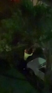 Gold Coast council's strange nightworks
