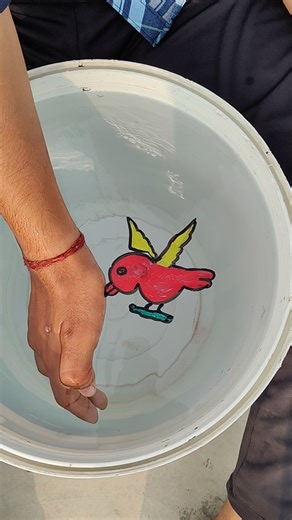 how to make a interesting amazing 🤩 indian bird drawing 😃 on the hand 👏 #shorts #viral #art