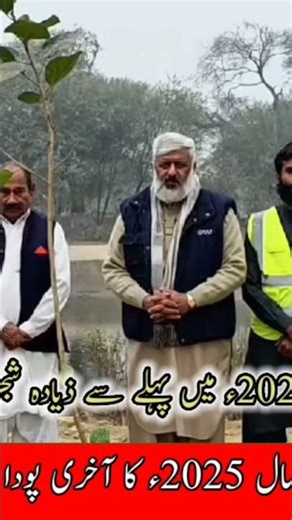 2025ء کا آخری پودا لگایا گیا