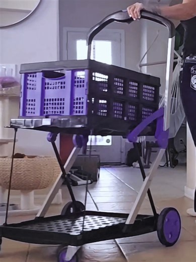 Ultimate Collapsible Cart for Hassle-Free Shopping