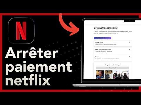 Comment Annuler Le Paiement Automatique Netflix