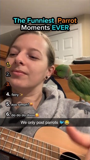 Funny Parrots Moments on Instagram: "🦜 Parrots gone wild! We only post the funniest, sassiest, and most unexpected parrot moments that'll have you squawking with laughter 😂 These birds have no filter and zero chill! #FunnyParrots #ParrotComedy #BirdsWithAttitude #TalkingBirdFails #FeatheredFools #ParrotLife #ViralBirds #ParrotLaughs #CrazyParrots #Sissy birds"