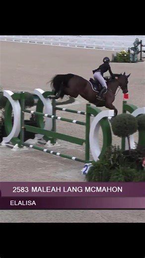 Kolora Stables LLC 🇺🇸 on Instagram: "A perfect start to Winter Circuit 🤩 KS Matilda🥇in the 1.40m High Jr/Am & Elalisa🥉. KS Kiwi double clear and 7th in the 1.40m $15,000 Classic ⭐️ All of the horses couldn’t feel any better thanks to @poseidonanimalhealth @vet__gold @4cyte @ceva_equine #love #happy #winning #usa #horses"