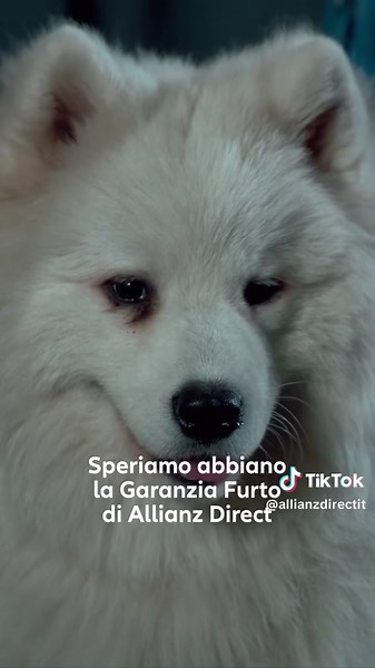 Nato per: rincorrere la palla. Costretto a: ricordarti di scegliere Allianz Direct per la tua casa.