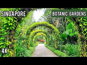 Singapore Botanic Garden Tour | National Orchid Garden Singapore