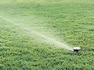 Aspersor De Impacto Maxi Paw 2045A   Boq - Rain Bird (ML2)