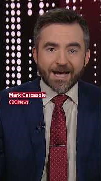 Bystander tackles shooter at Bondi Beach