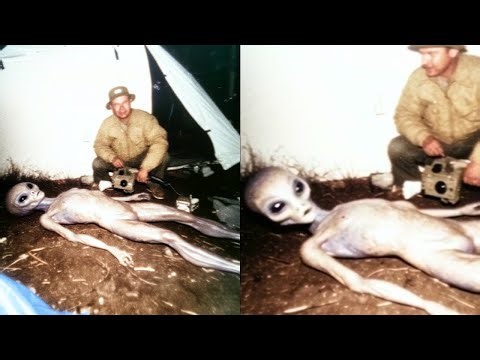 He Found a Dying Alien in the Forest. Its Last Words About Humanity Will Shock You – Alien Story
