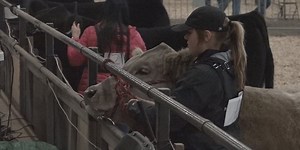 Sioux Falls Chamber of Commerce to retire Sioux Empire Livestock Show