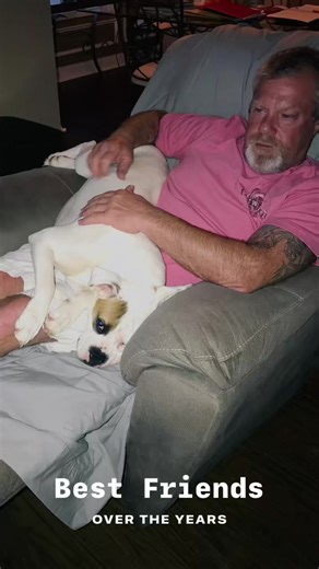 Sweet Sugar🥰❤️🥰Memories we will always cherish🥰❤️she could get comfortable on Ronnie’s lap no matter what! | Cathy Nation