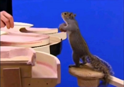 5.4M views · 4.5K reactions | La séquence culte des écureuils de Charlie et la Chocolaterie  Cette séquence a nécessité le dressage de quarante véritables petits rongeurs qui ont été entraînés pendant des mois avant de devenir de parfaits petits trieurs de noix. Sur le plateau de tournage, il étaient accompagnés d’animatroniques bien réalistes. L’équipe de post-production a ensuite ajouté de nombreux animaux en version virtuelle. ️ | My Pop Culture | Facebook