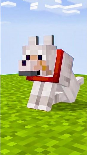 MINECRAFT JAVA VS BEDROCK CURIOSITIES AND DIFFERENCES