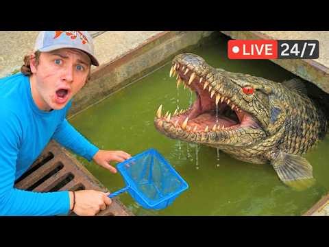 Bass fishing Productions LIVE: Stream Highlights | March Week 3