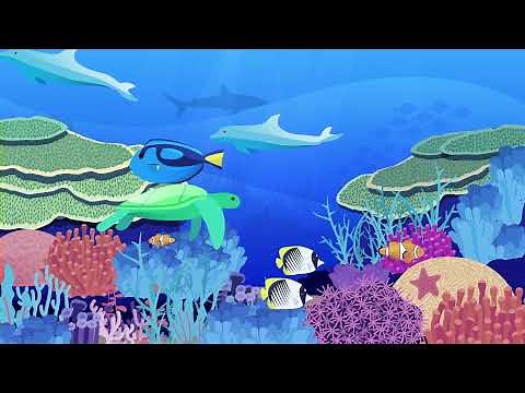 Coral Reef Restoration: what is it and why is it important?