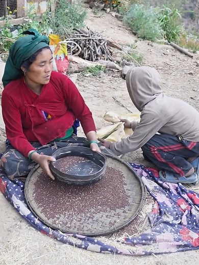 206K views · 1K reactions | Harvesting technology of crop in villages rural.#villagelife #village #cooking #dailylife #rural #food | Village Lifestyle | Facebook
