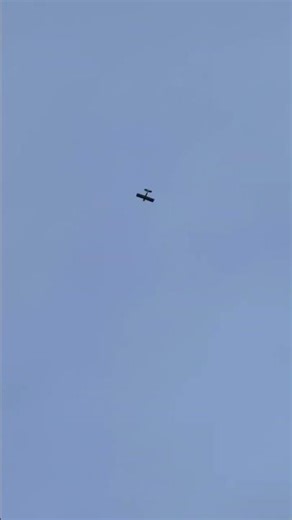 Night Timber X preforms split s