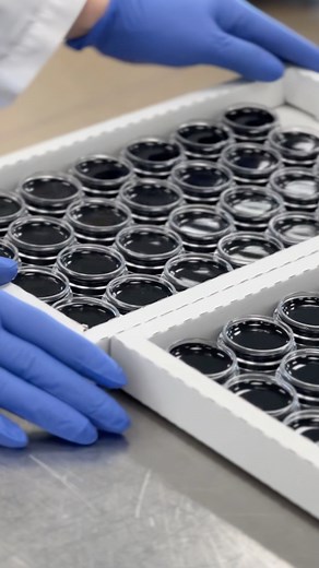 17K views · 149 reactions | AMC EYELINER 77 - game changer of all time! | INGLOT | Facebook