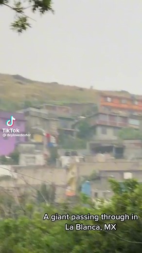 Giant! #bigfoot #bigfootisreal #sasquatch #mystery #cryptid #horror #horrortok #hiking #horrortok #scary #GenshinImpact33 #fyp #foryou