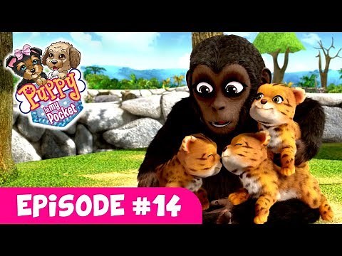 Puppy In My Pocket - Webisode #14 "Manny (Still) Wants A Kitten"