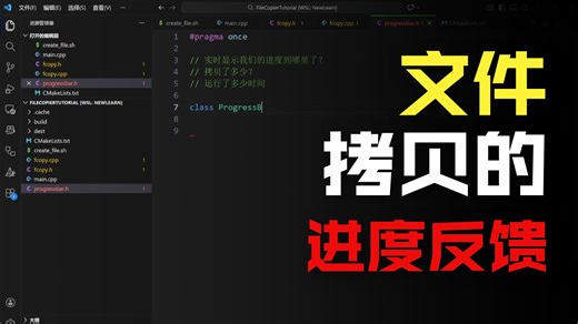 现代C  工程实践——文件拷贝之进度条实现基础