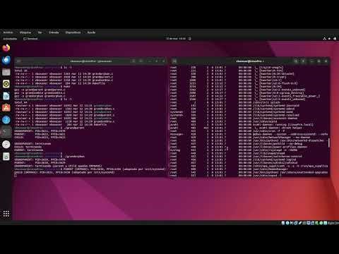 Práctica Procesos en Linux - Grandparent, Zombie y Orphan | Ubuntu