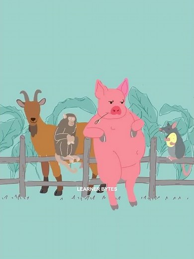 The Most Heartbreaking Extinction in History | Dodo Bird #learnerbytes