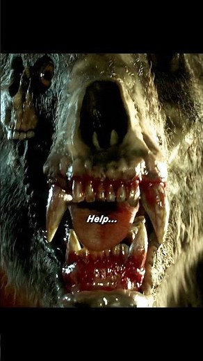 Annihilation | The Bear’s Terrifying Attack