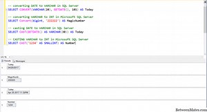 CAST和CONVERT - 软件 2025