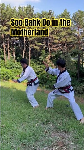 Soo Bahk Do training in the motherland of Korea. #tsd #soobahkdo #tangsoodo #martialartsmoves