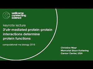 3'UTR-mediated protein-protein interactions determine protein functions - Christine Mayr