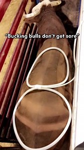 1.8M views · 6.6K reactions | #bullriding | Bull Riding | Facebook