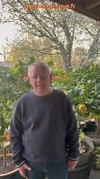 Surprise frost at -2°C ❄️… I saved my citrus trees thanks to my greenhouse!