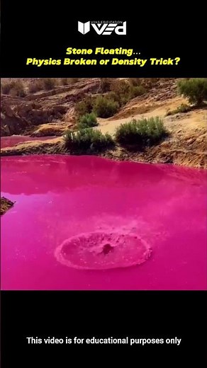 Stone Floating?! Physics Broken or Density Trick 🤯 #shorts