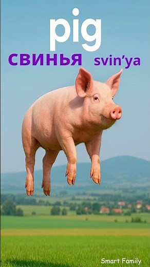 More Animals in Russian 🐎🐐 | Expand Your Animal Vocabulary!