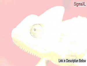 SigmaXL Crack (Legit Download)