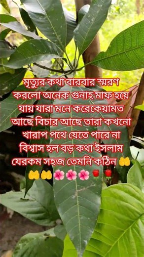 A very beautiful prayer, you will benefit from listening to it