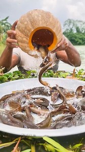 Unbelievable trap fishing technique #fish #fishing | Catch Fish With ET