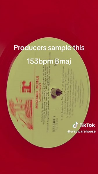 #samplethis #pianosample #flutesample #lofisample #hiphopsamples #rnbsample #producertok #producer #beatmaker #samplemaker #abelton #flstudio #samplepack