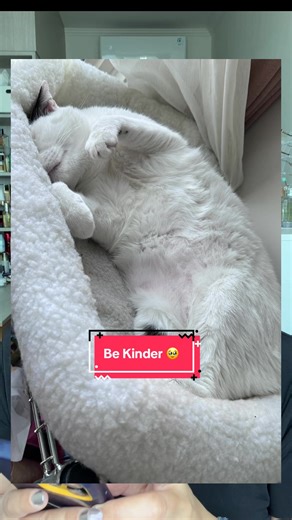 Menjadi Lebih Baik: Dukungan Untuk Wanita