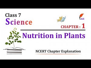 NCERT Solutions for Class 7 Science Chapter 1