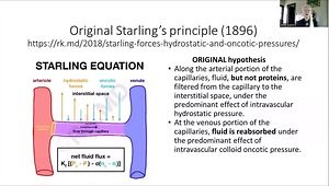 Clinical Application of a Fluid Balance Calculator for Water Volume Assessment