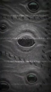 The Devils Bible (Codex Gigas) | Princess Maker | Facebook