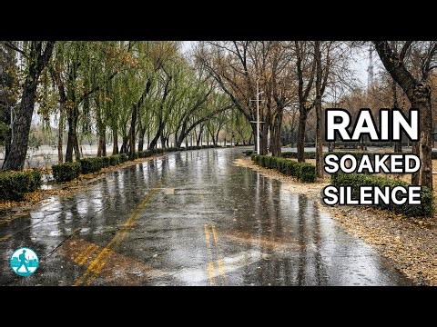 Najvan Park in the Rain 🌧 — A Silent, Cinematic Walk in Isfahan
