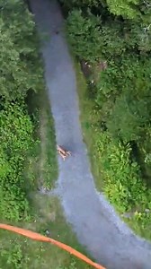 2.2M views · 12K reactions | One of our DCNR Rangers was looking down...