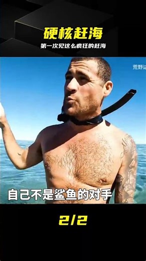 這才是傳說中的野路子趕海，生物多到超出你的想象 #赶海，野生海鲜，海货，赶海现场，海洋生物，沉浸式
