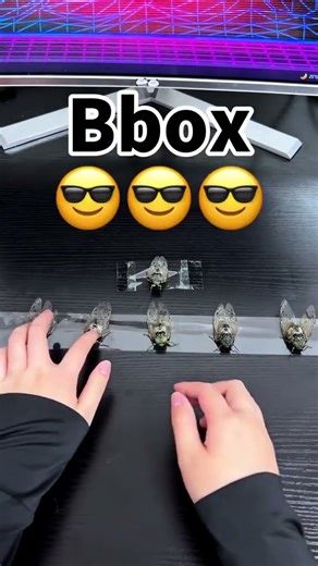 Everything can be beatbox《DJ Cicada》